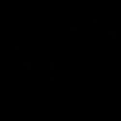 VCNews
